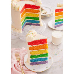 RAINBOW CAKE SLICE